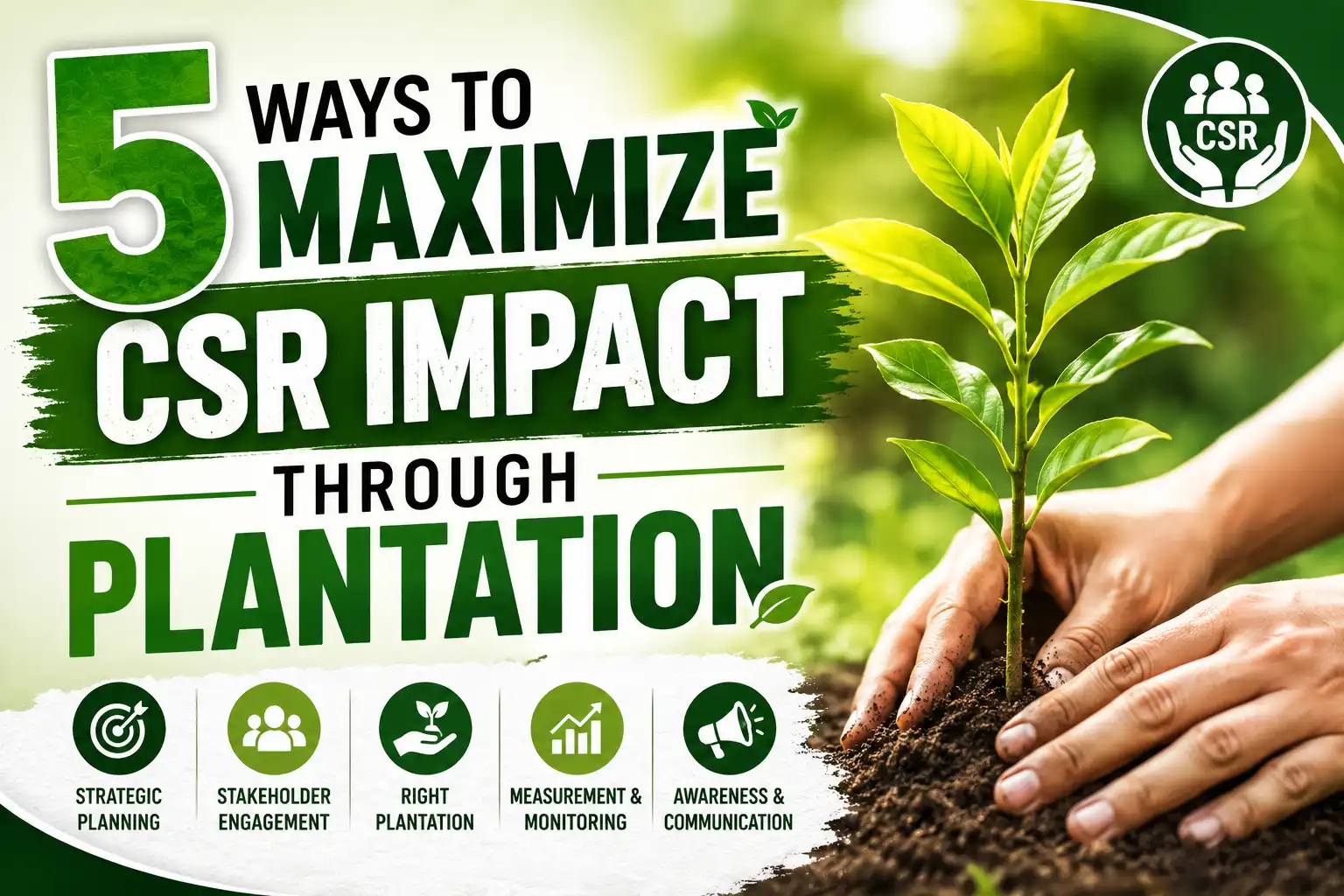 5 ways to maximize CSR impact through plantation